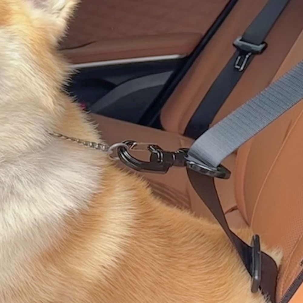 Swing Seat Belt - Anti-interference Pet Safety Buckle Sustainable Durable