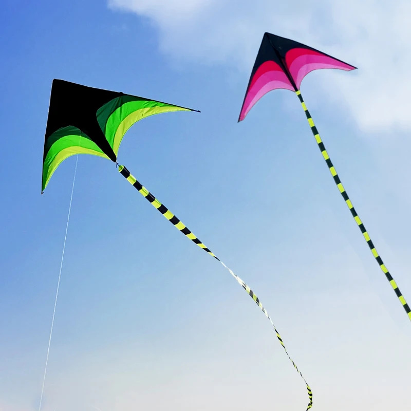 Adults Easy to Fly Large Huge  - огляд і ціна Kite Easy Fly Kids