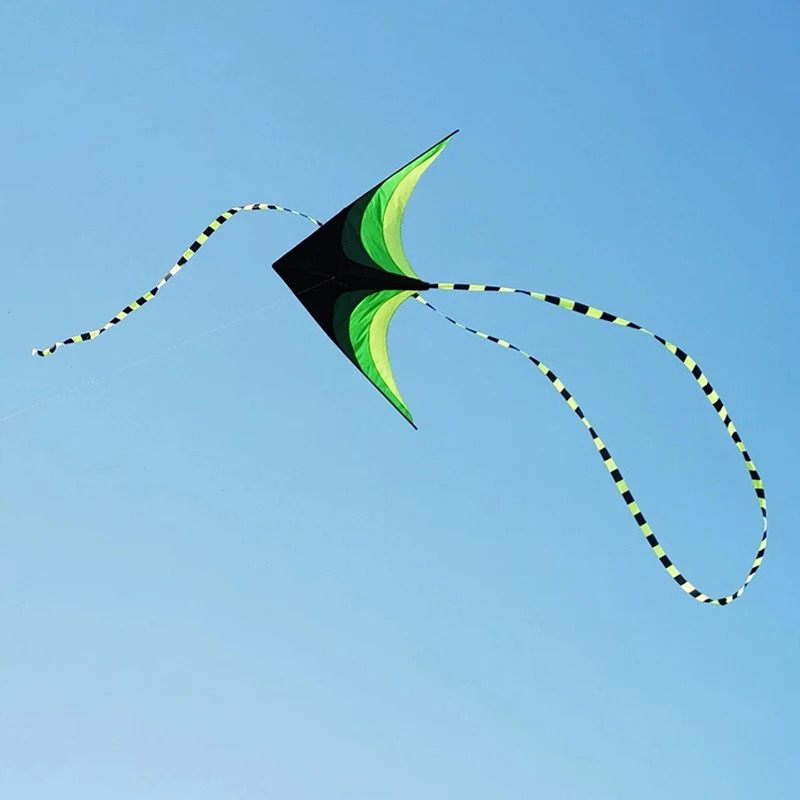 Adults Easy to Fly Large Huge  - огляд і ціна Kite Easy Fly Kids