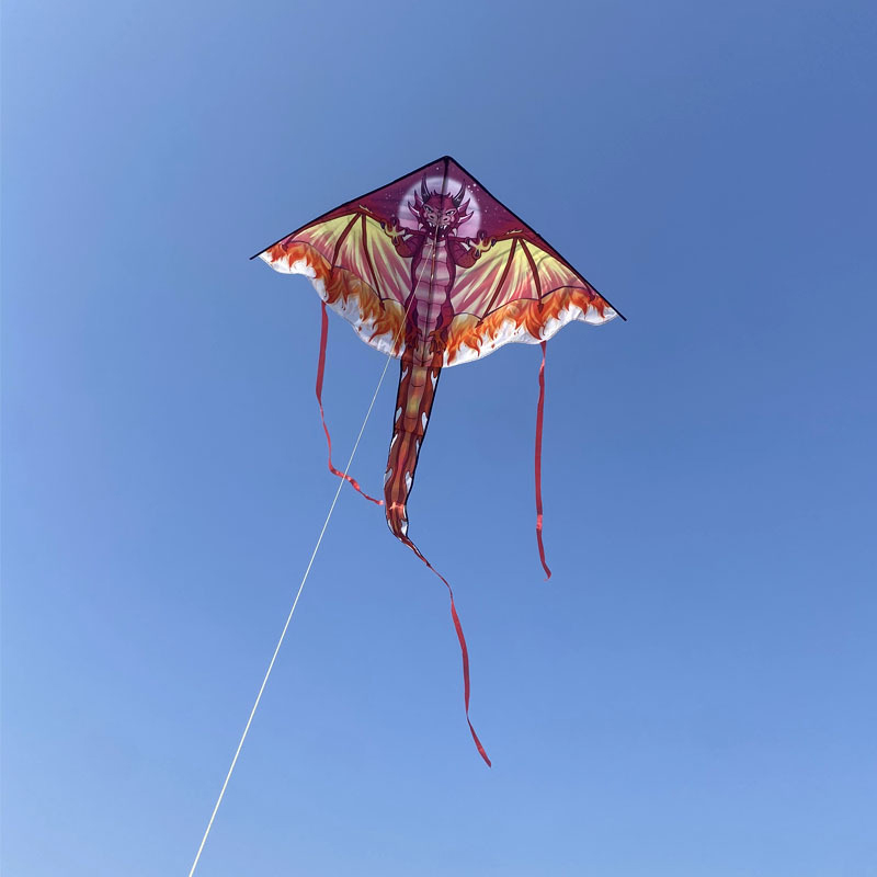 Large Dragon Kite For Kids & A - огляд і ціна Kite Easy Fly Kids