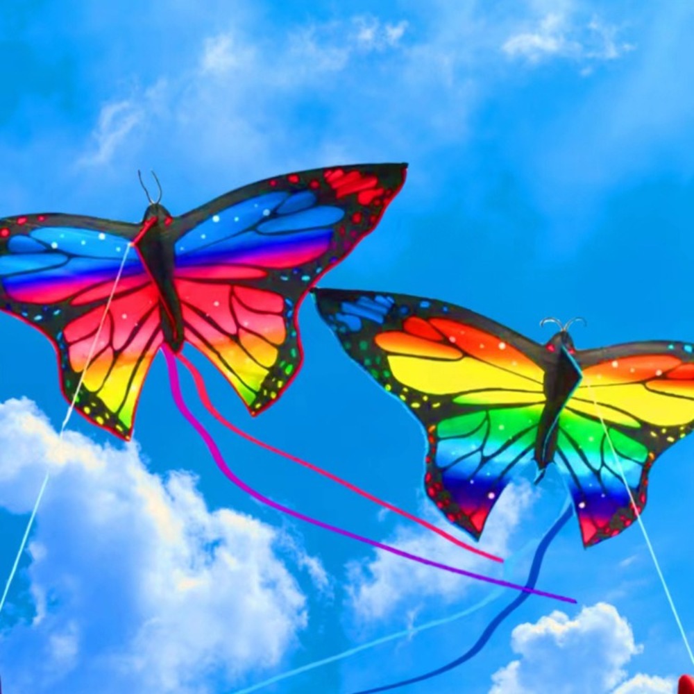 Easy to Fly Colorful Butterfly - огляд і ціна Kite Easy Fly Kids