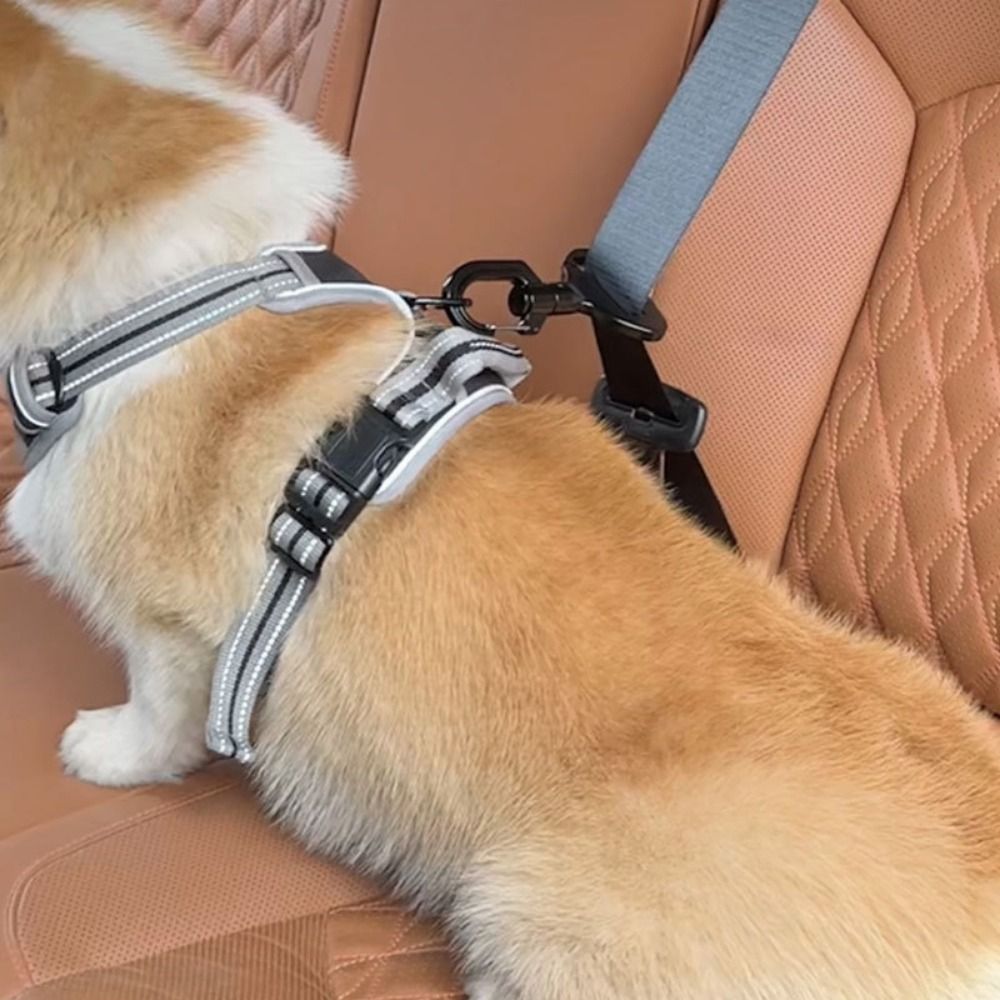 Anti-interference Pet Safety B - огляд і ціна Swing Seat Belt