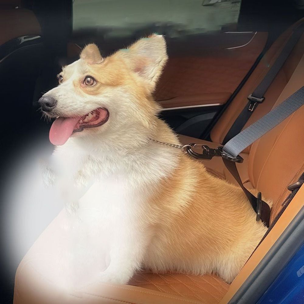Anti-interference Pet Safety B - огляд і ціна Swing Seat Belt