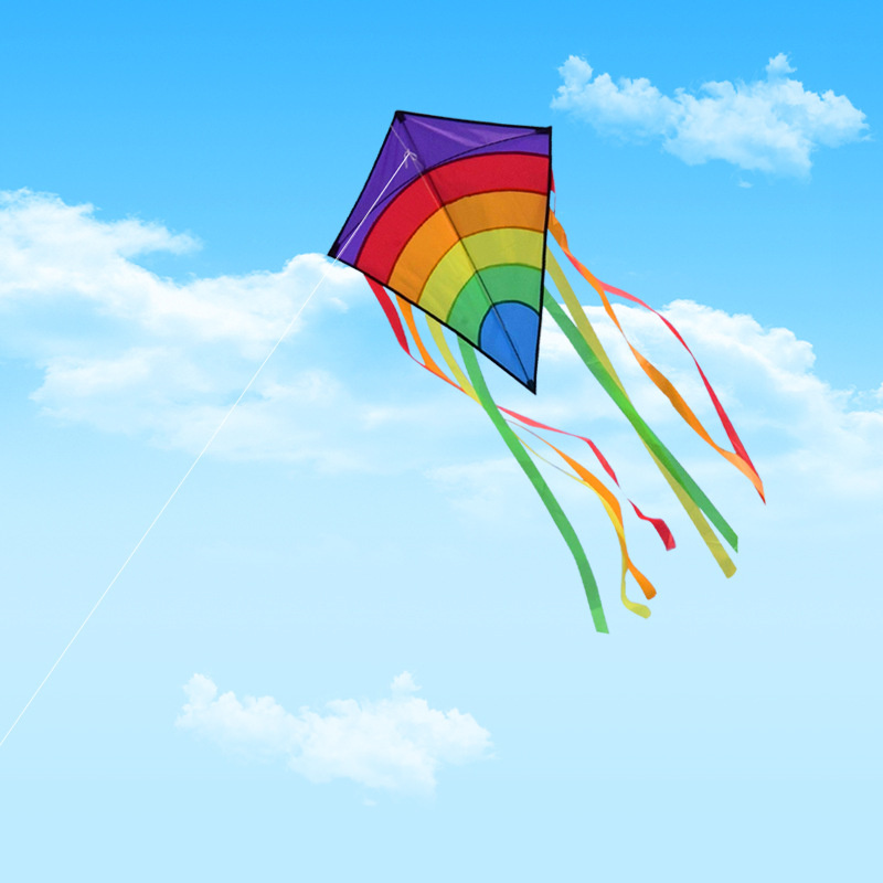Single Line Kite with Long Tai - огляд і ціна Kite Easy Fly Kids