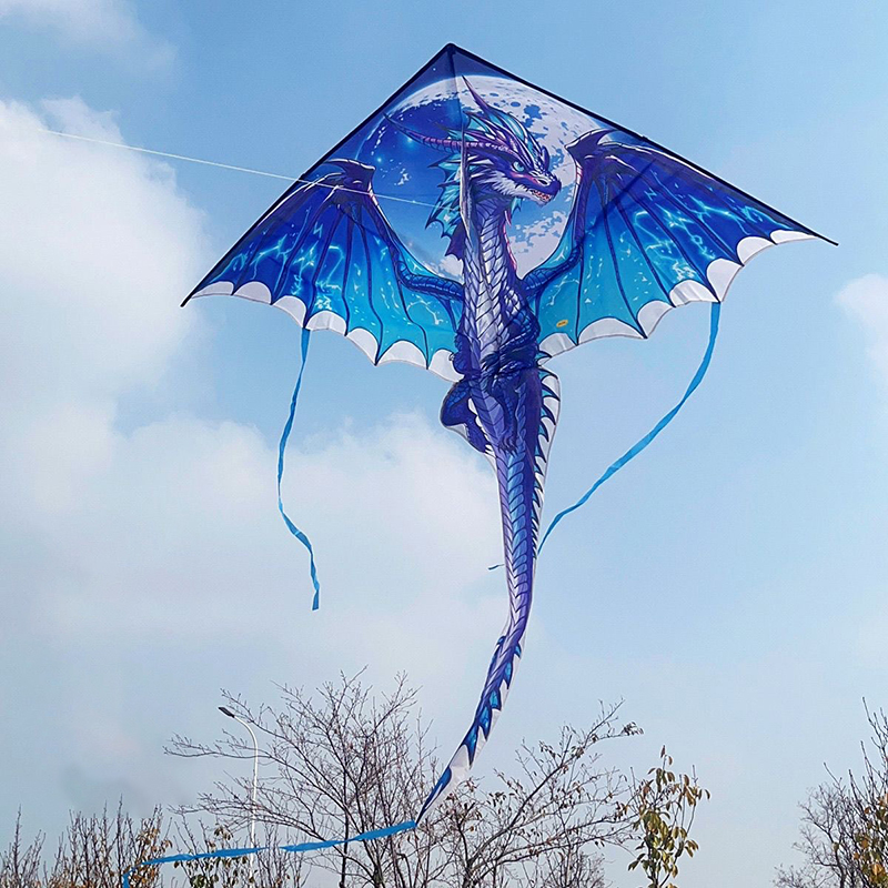 Large Dragon Kite For Kids & A - огляд і ціна Kite Easy Fly Kids