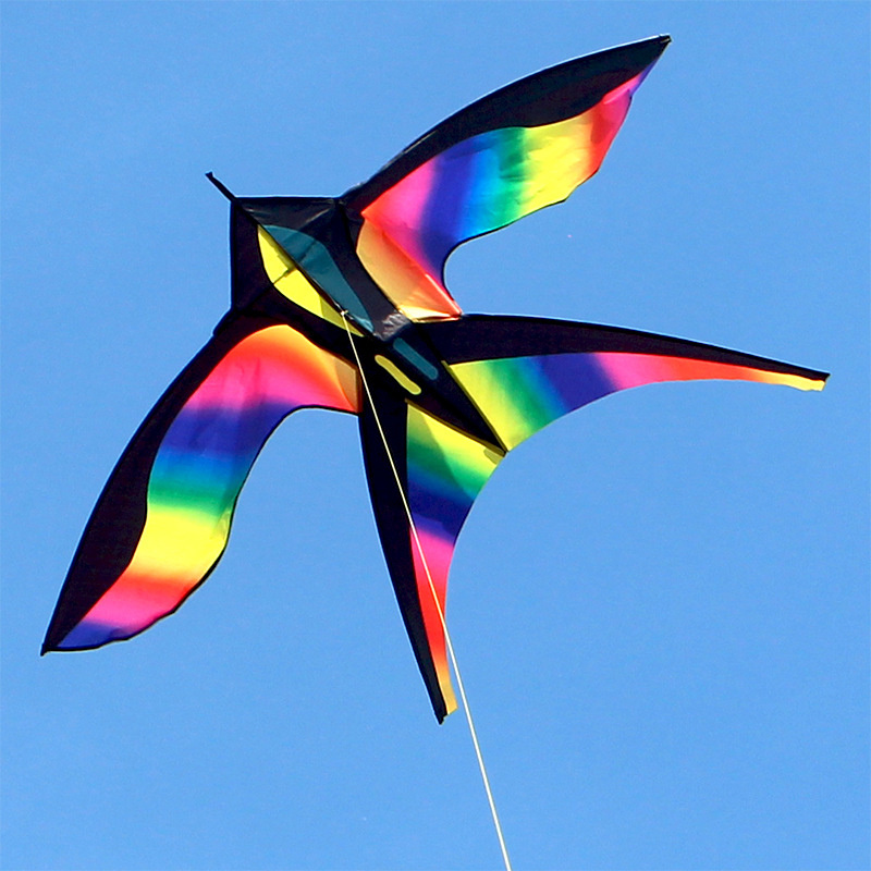 1.7m Easy to Fly Colorful Rain - огляд і ціна Kite Easy Fly Kids