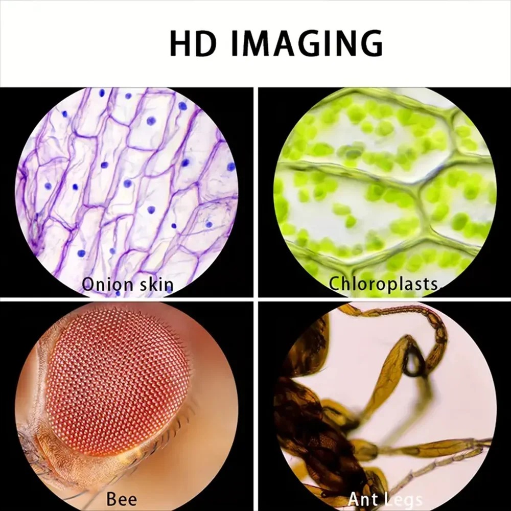 Handheld Pocket Microscope 60X - огляд і ціна Kids Outdoor Microscope