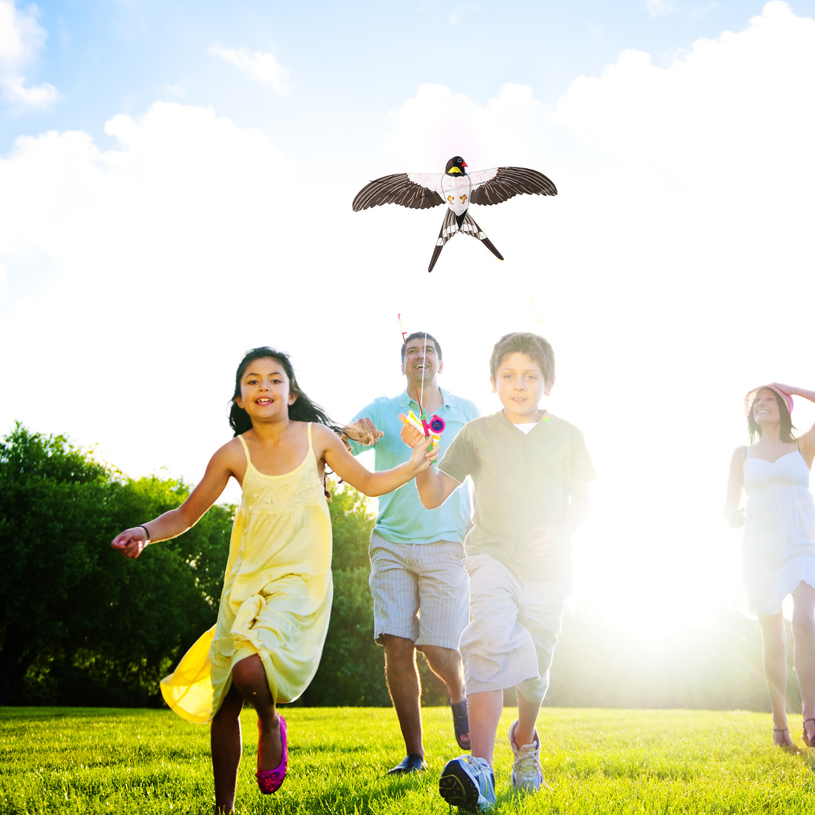 Easy to Fly Bird Kite Kite for - огляд і ціна Kite Easy Fly Kids