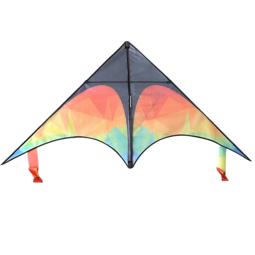 Double-tailed Large Delta Kite - огляд і ціна Kite Easy Fly Kids