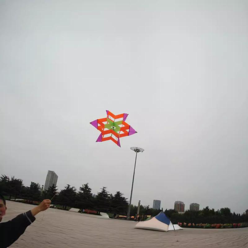 Travel-friendly 3D Plum Blosso - огляд і ціна Kite Easy Fly Kids
